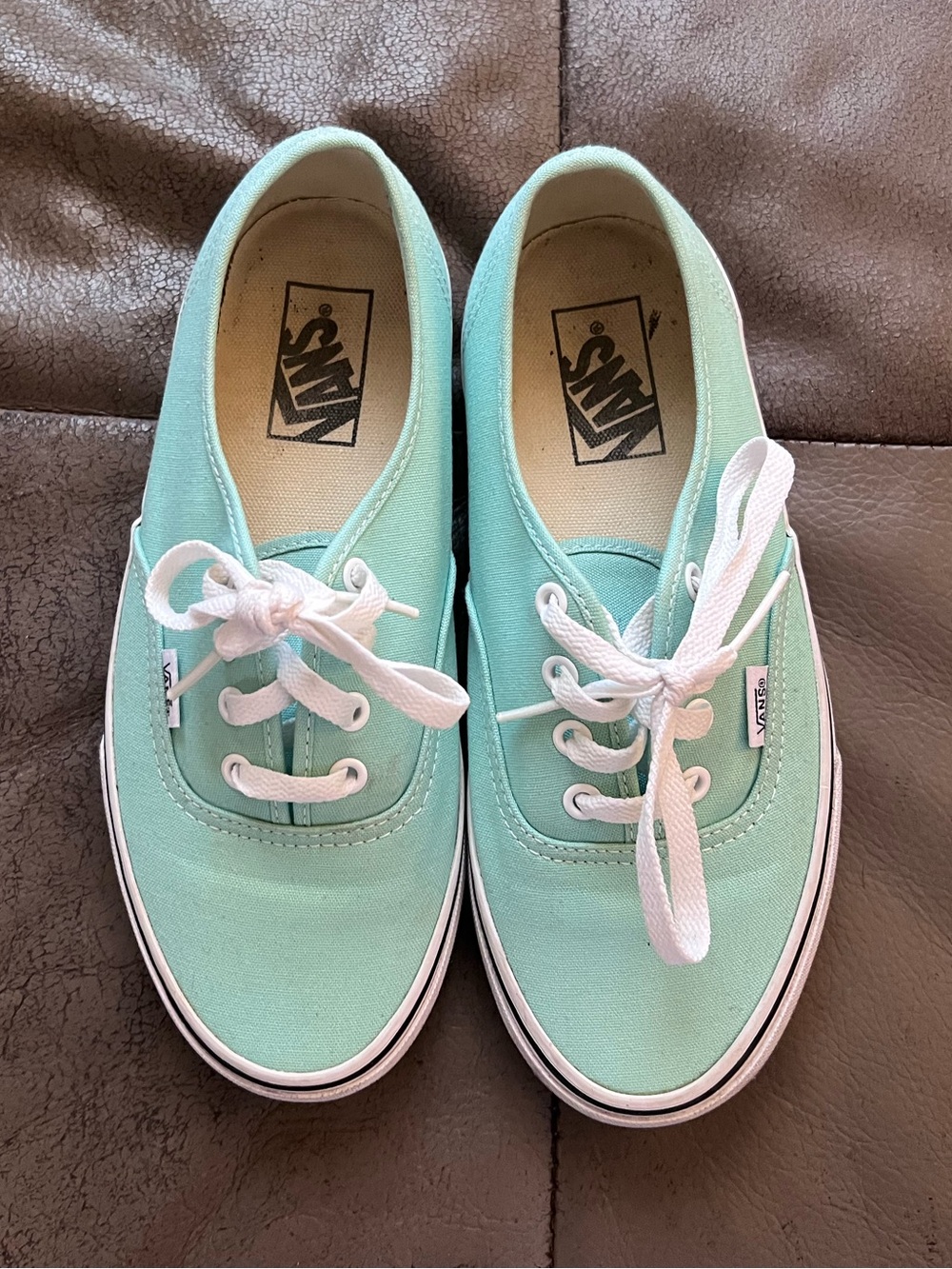 Vans Authentic Low Top Sneakers in Seafoam Green